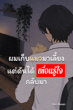 ผมเก็บแมวมาเลี้ยง แต่ดันได้เพื่อนรู้ใจกลับมา