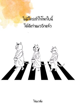 ไม่มีใครเข้าใจโลกใบนี้ ได้ดีเท่าแมวอีกแล้ว