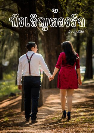 บังเอิญต้องรัก