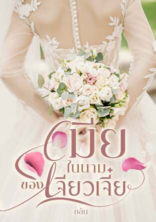 เมียในนามของเจียวเจี๋ย