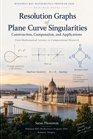Research Notes on Resolution Graphs and Plane Curve Singularities