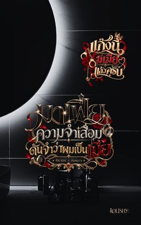 มาเฟียความจำเสื่อม ดันจำว่าผมเป็นเมีย