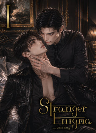 Stranger Enigma เล่ม 1