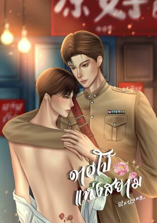 ดาวโป๊แห่งสยาม