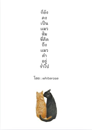 ก็ยังคงเป็นแมวส้มที่คิดถึงแมวดำอยู่ร่ำไป