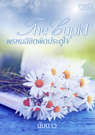 Cupid พรหมลิขิตผิดประตูใจ