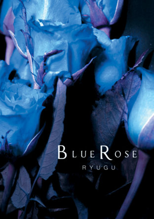 Blue Rose (DoubleB fanfiction)