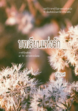 บทเรียนแห่งรัก