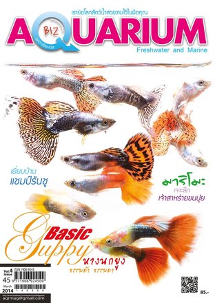 Aquarium Biz - Issue 45