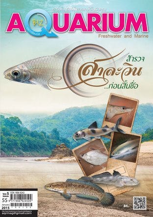 Aquarium Biz - Issue 55