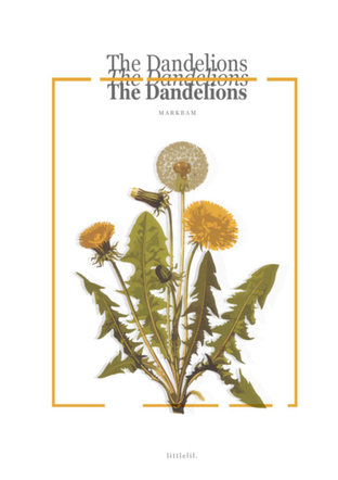(MarkBam) The Dandelions #thedanmb