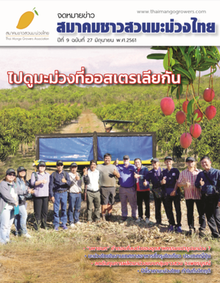 จดหมายข่าวสมาคมชาวสวนมะม่วงไทย ฉบับ มิย.61 ปีที่ 9 ฉบับ 27