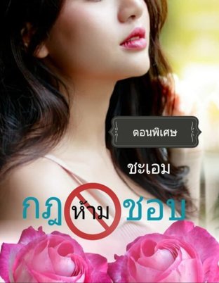 กฎห้ามชอบ (ตอนพิเศษ)