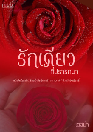 รักเดียวที่ปรารถนา