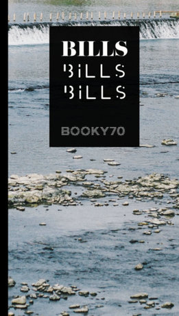 BILLS BILLS BILLS [FICTION]