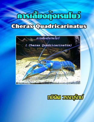 การเลี้ยงกุ้งเรนโบว์ ( Cherax Quadricarinatus )