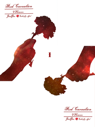 SET Red carnation #คาเนชั่นยองแจ [mpreg] { #7flowers ,JackJae }