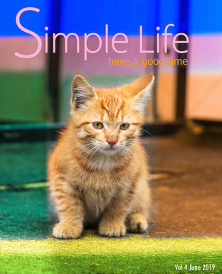 Simple Life ฉบับที่ 4