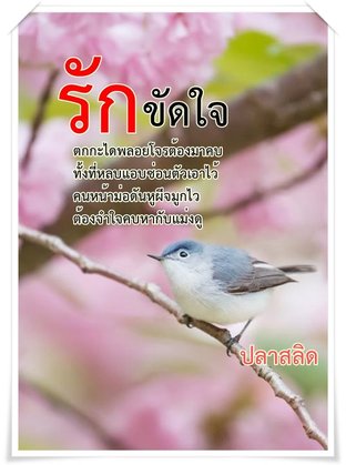 รักขัดใจ